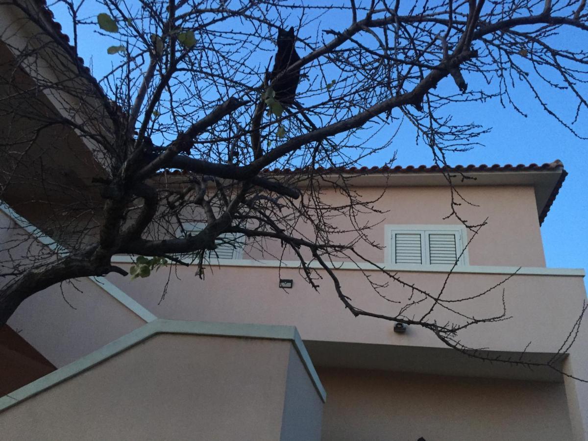 La Maison Di Zia Annina Olbia Exterior foto